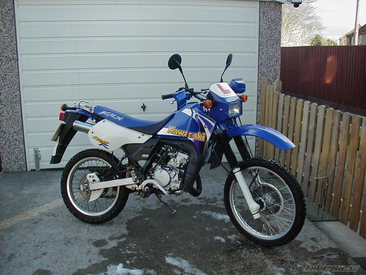1999 KAWASAKI KMX 125 | Picture 1545351 motorcycle photo