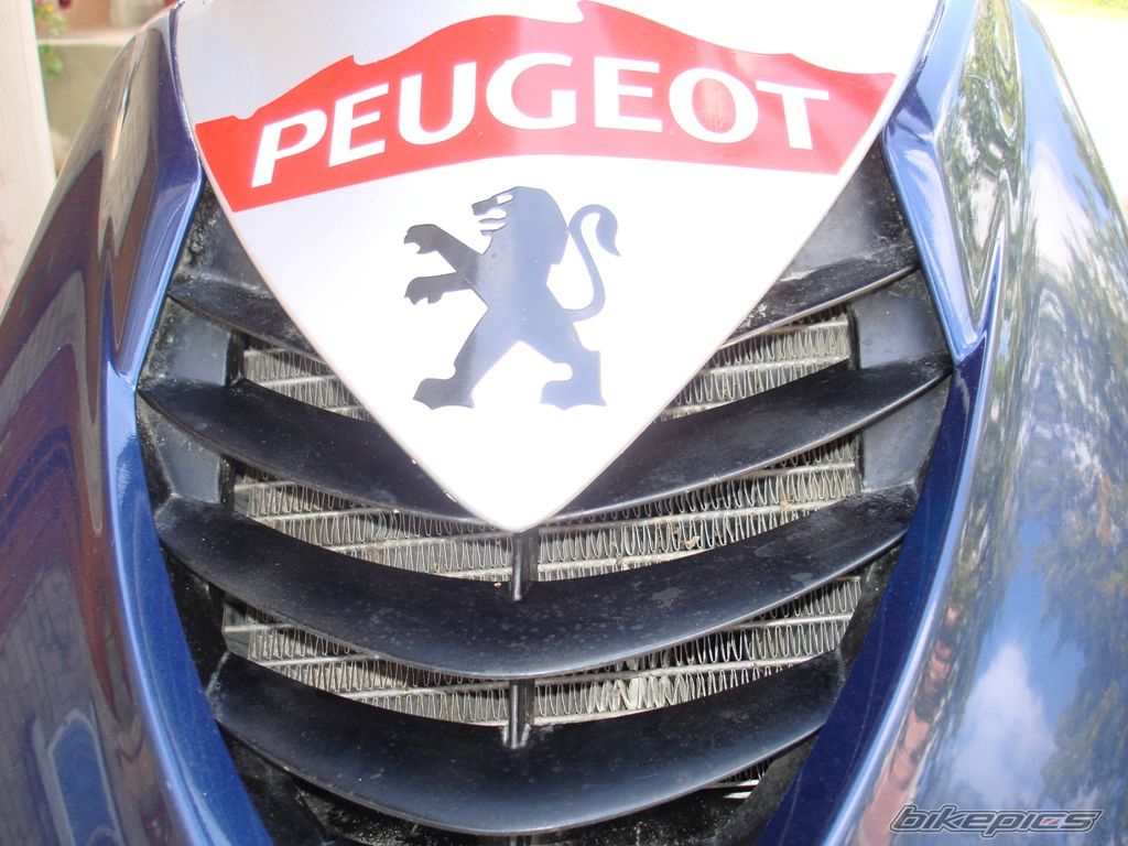 2003 PEUGEOT SPEEDFIGHT2 50 | Picture 1545619 motorcycle photo
