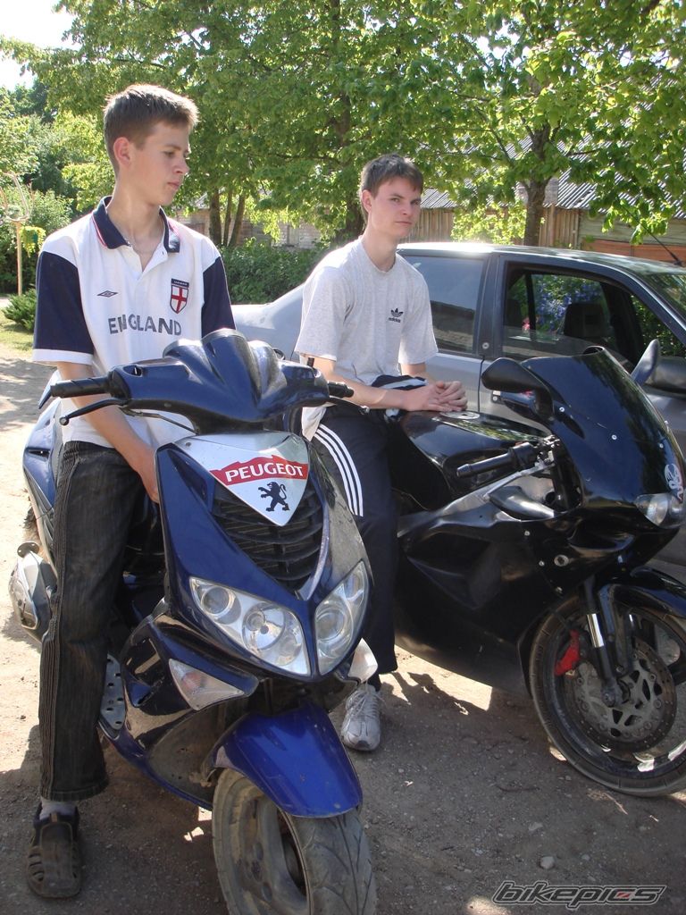 2003 PEUGEOT SPEEDFIGHT2 50 | Picture 1545626 motorcycle photo