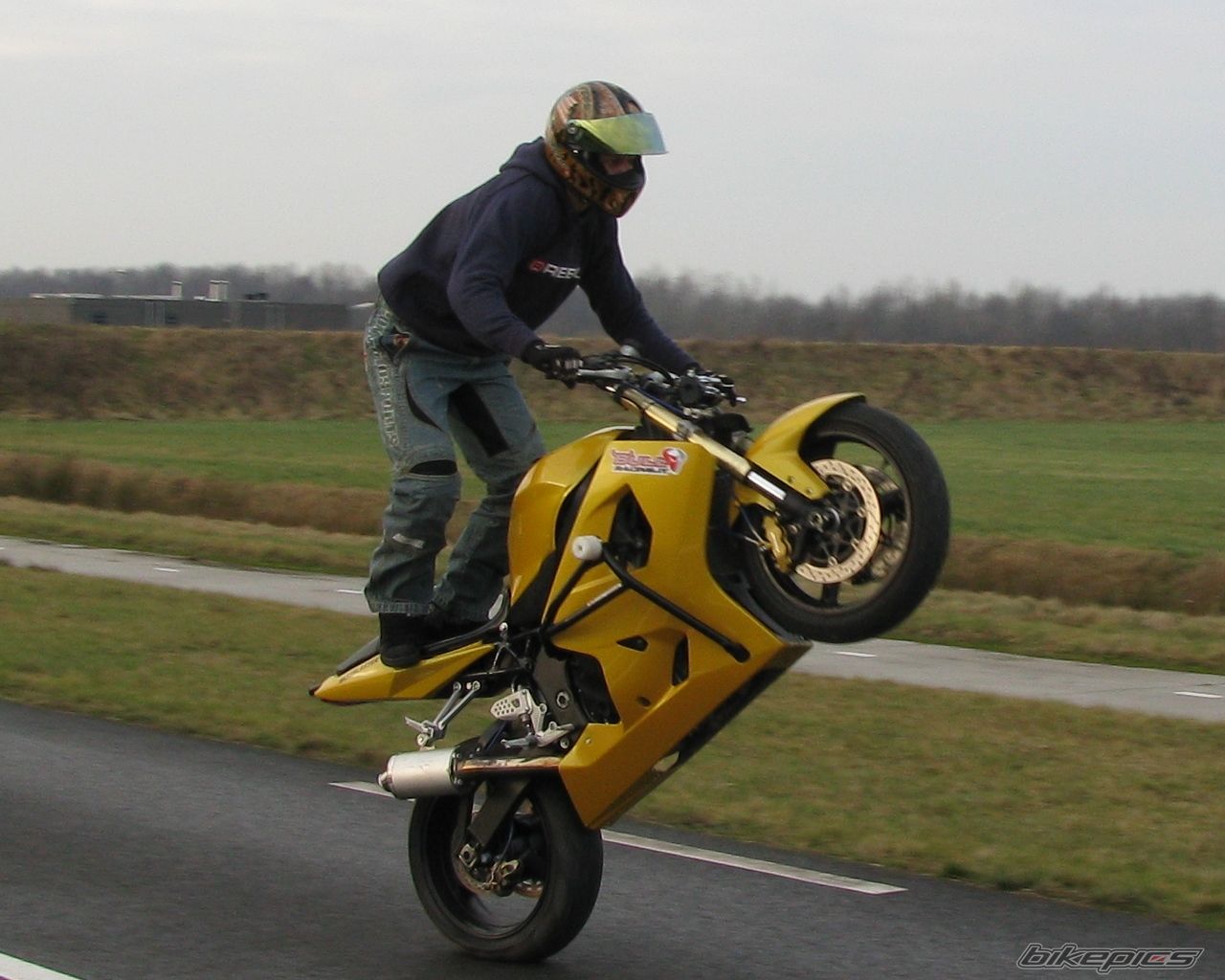 2004 SUZUKI GSX R 600 | Picture 1546019 motorcycle photo