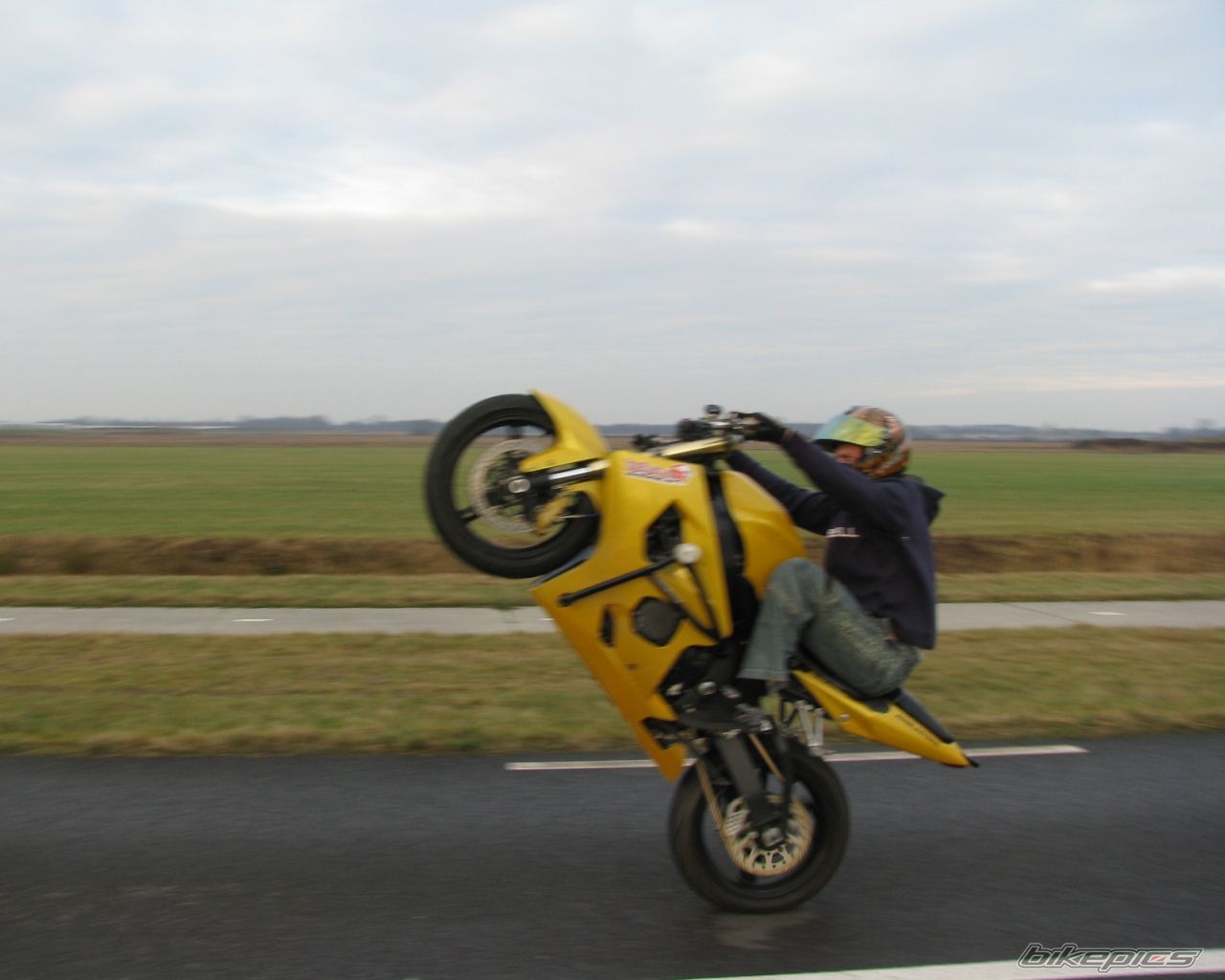 2004 SUZUKI GSX R 600 | Picture 1546022 motorcycle photo