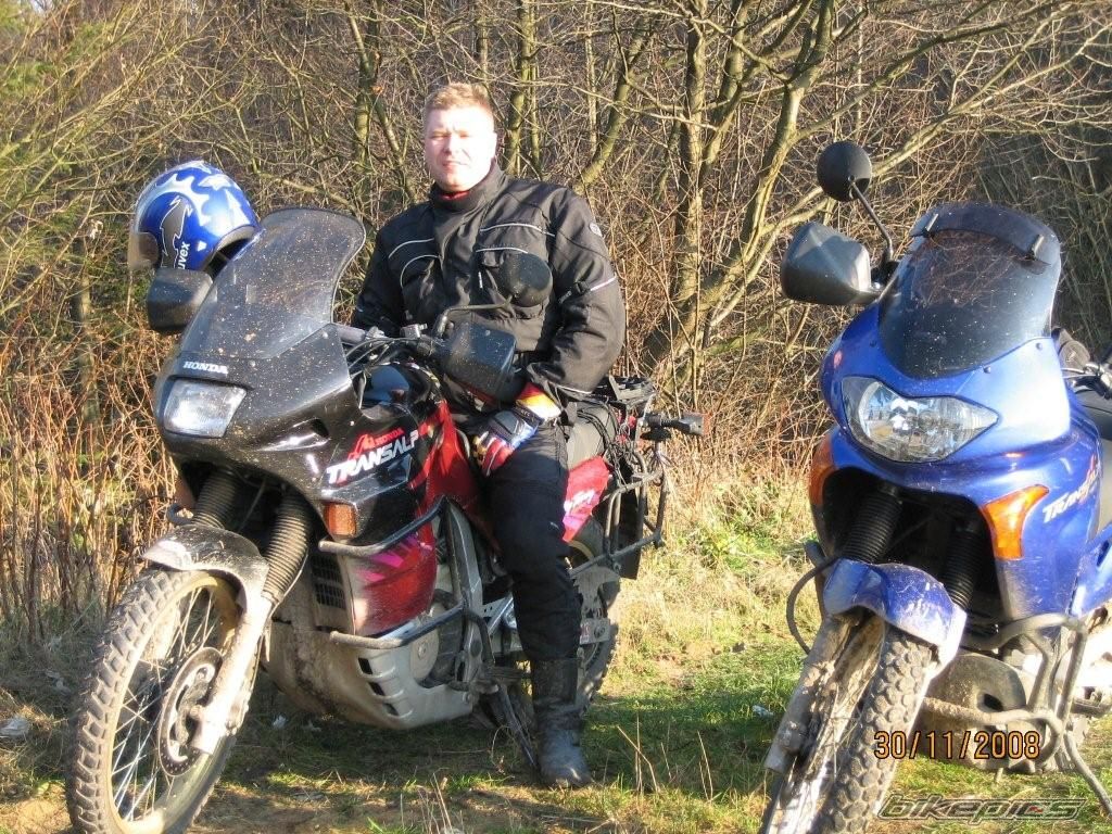1995 HONDA XL 600V TRANSALP | Picture 1546303 motorcycle photo