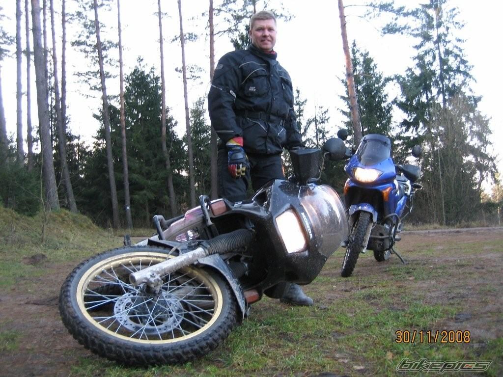1995 HONDA XL 600V TRANSALP | Picture 1546304 motorcycle photo