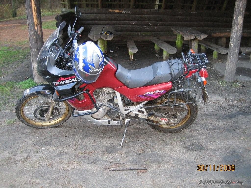 1995 HONDA XL 600V TRANSALP | Picture 1546305 motorcycle photo