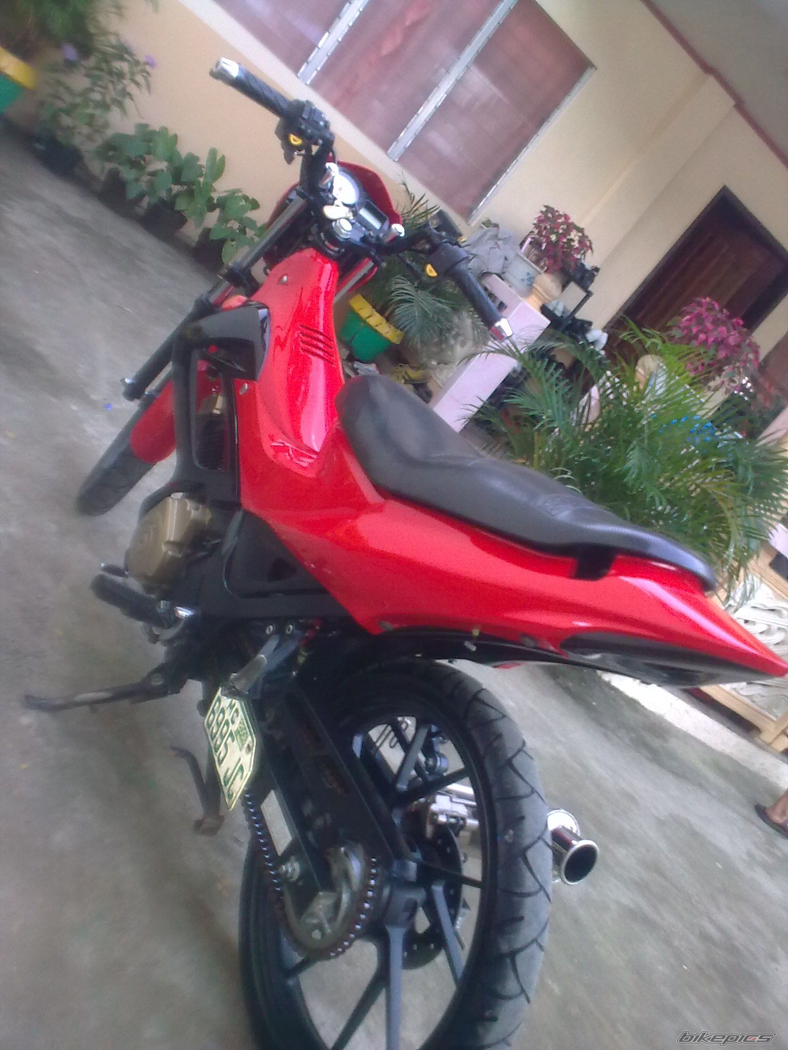 2008 SUZUKI RAIDER 150 | Picture 1546397 motorcycle photo