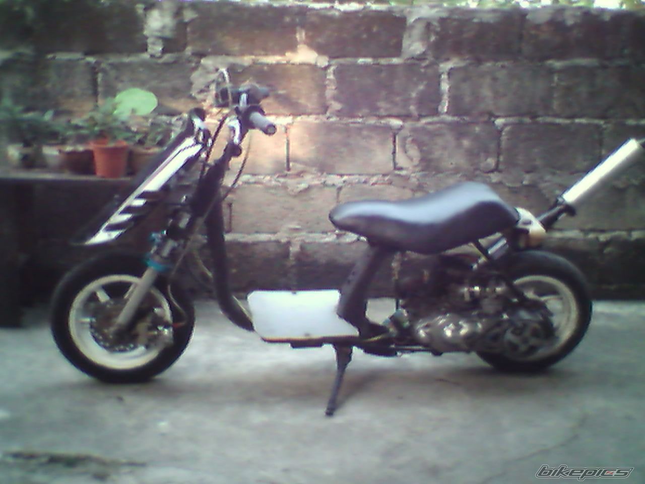 2009 HONDA DIO AF 28 | Picture 1546495 motorcycle photo