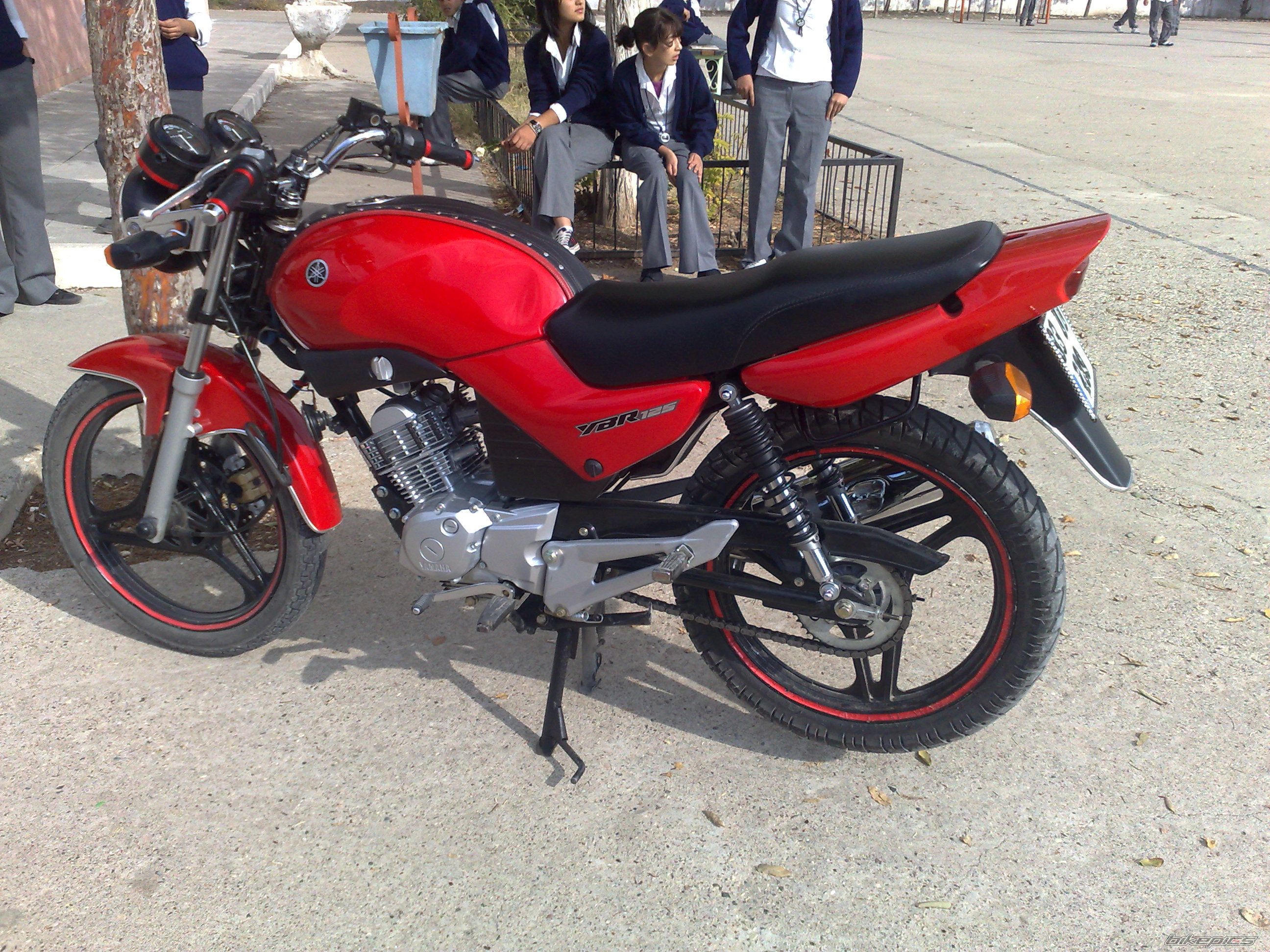 2009 YAMAHA YBR 125 | Picture 1546514 motorcycle photo