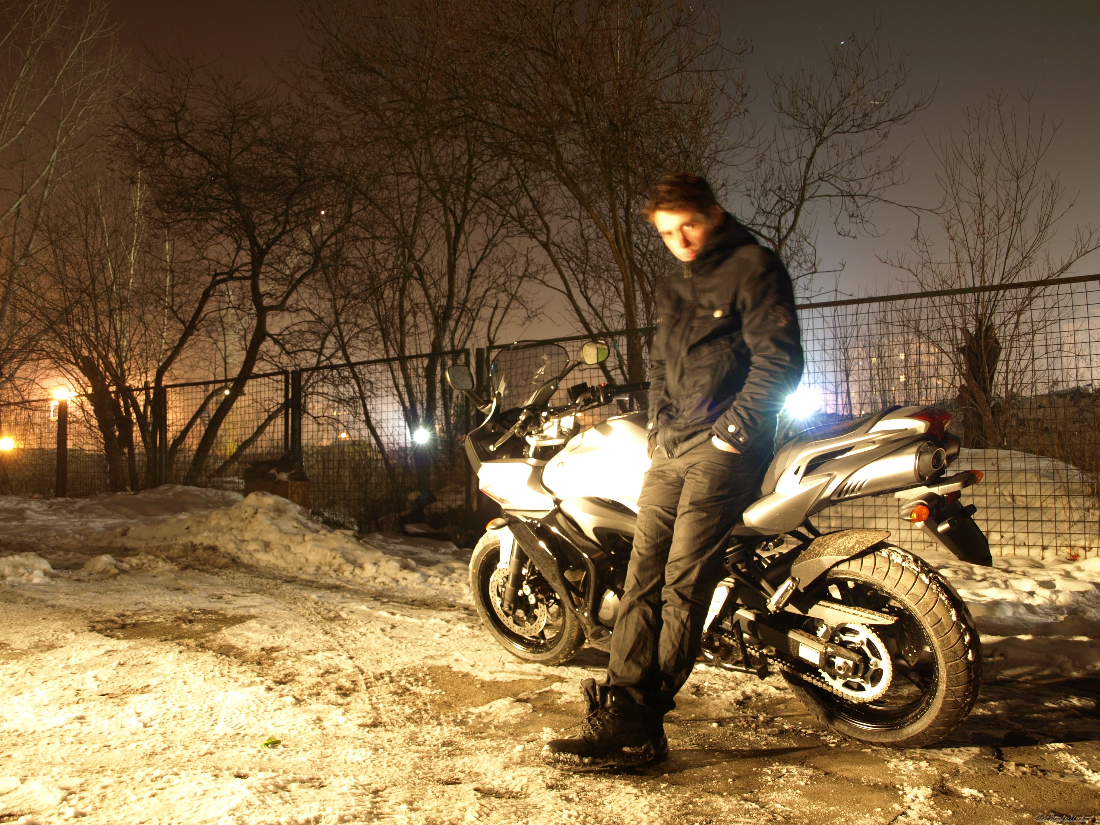 2008 YAMAHA FZ6 FAZER | Picture 1546556 motorcycle photo