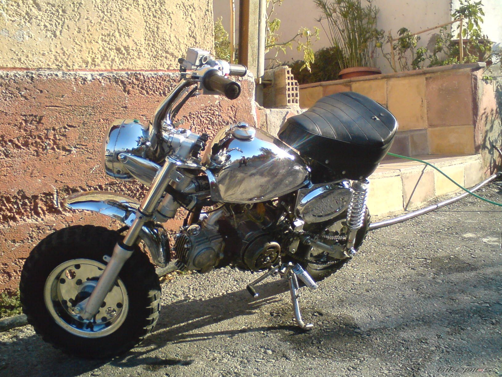2008 HONDA Z 50 | Picture 1546913 motorcycle photo