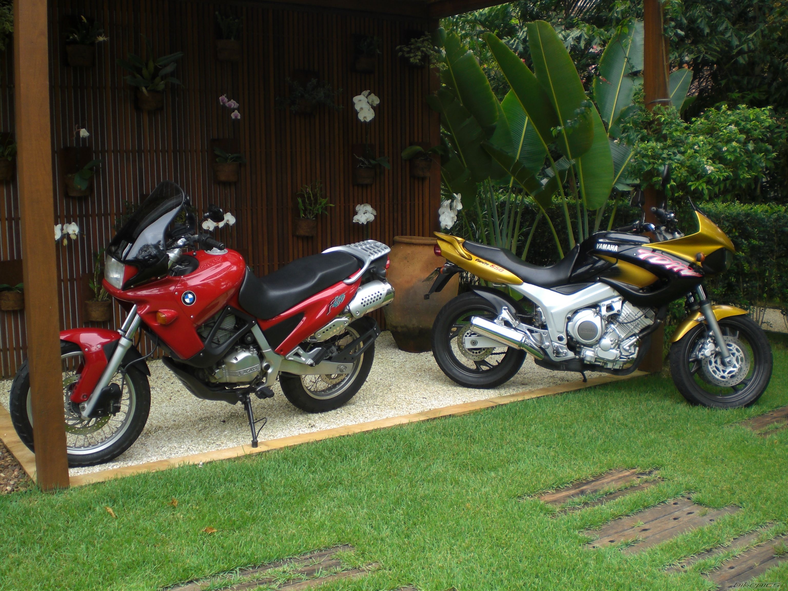1995 BMW F 650 ST | Picture 1547190 motorcycle photo
