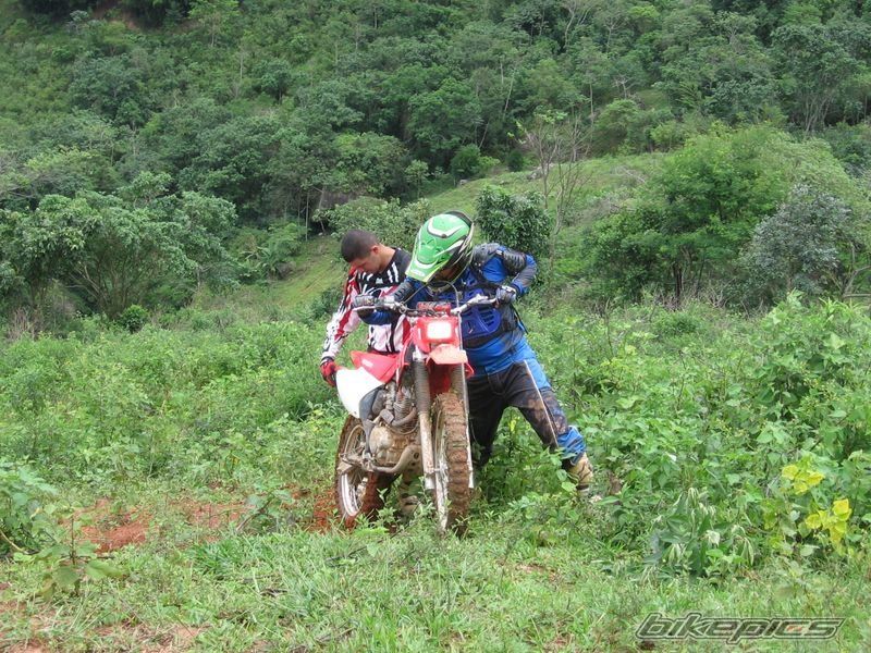 2009 HONDA CRF 230 | Picture 1547516 motorcycle photo