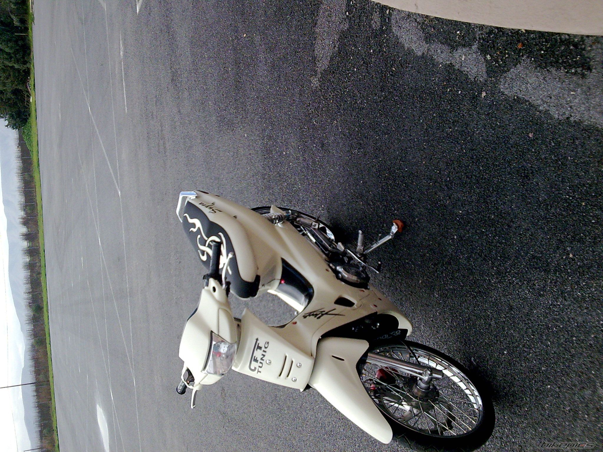 2009 HONDA GLX 50 | Picture 1547588 motorcycle photo