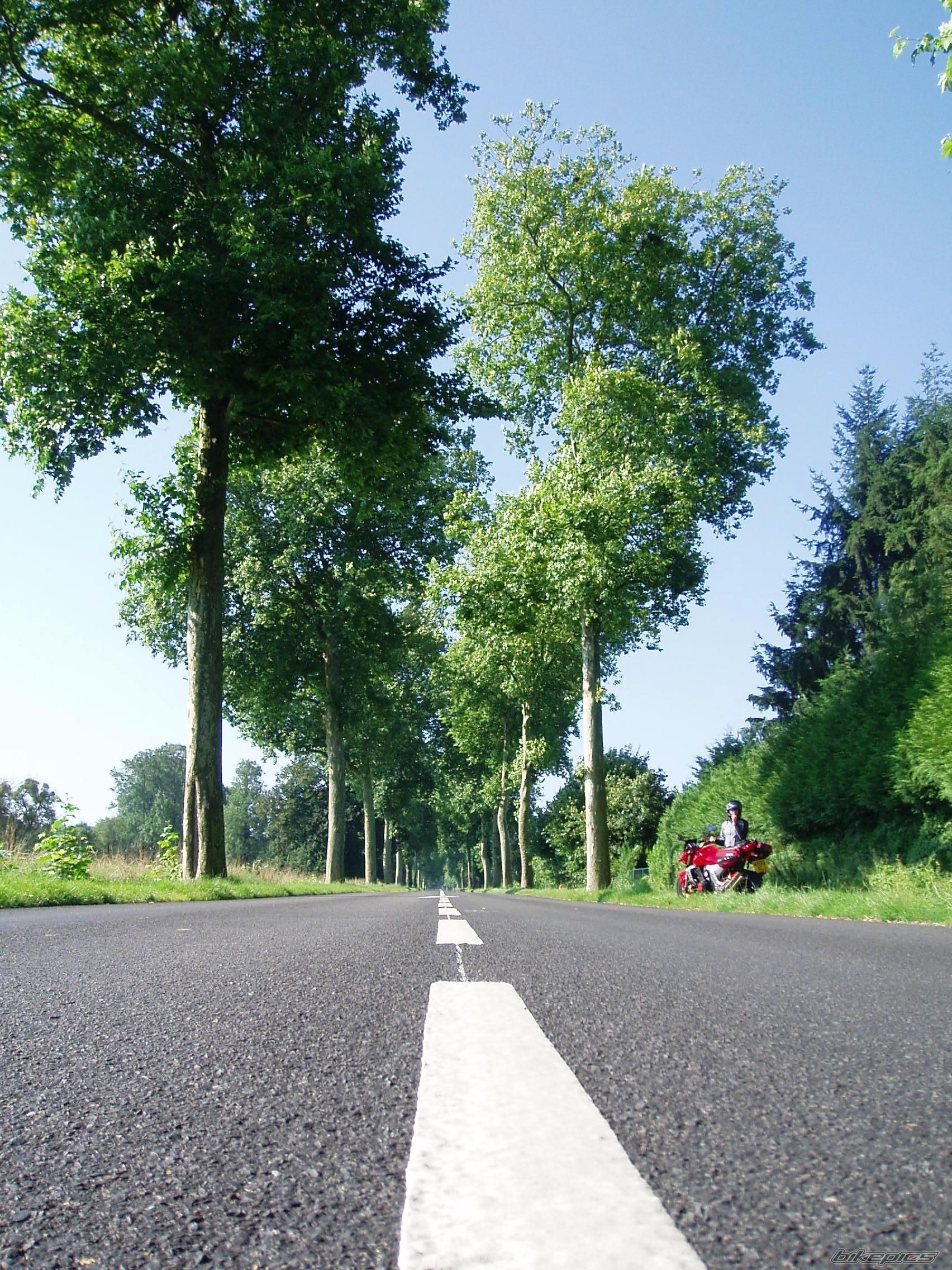    | Picture 1547612 motorcycle photo
