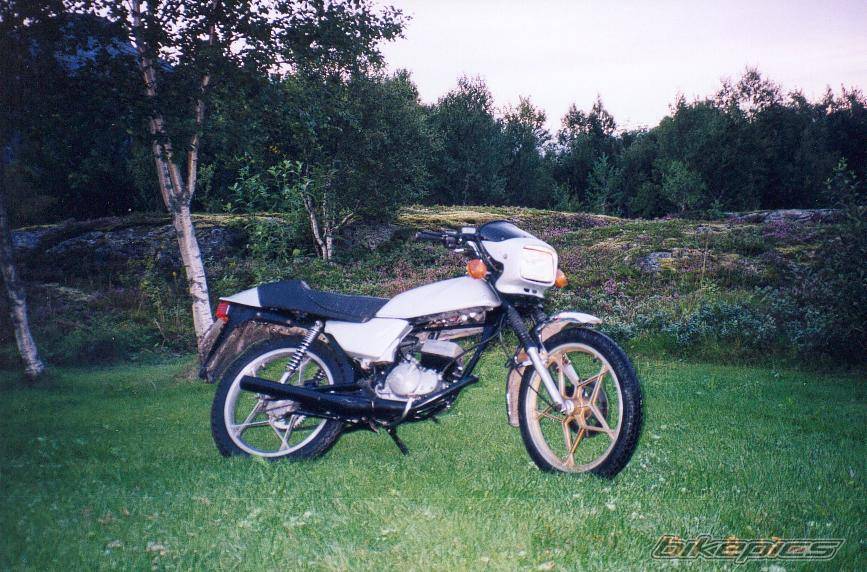 1987 SUZUKI GSX R 400 | Picture 15486 motorcycle photo