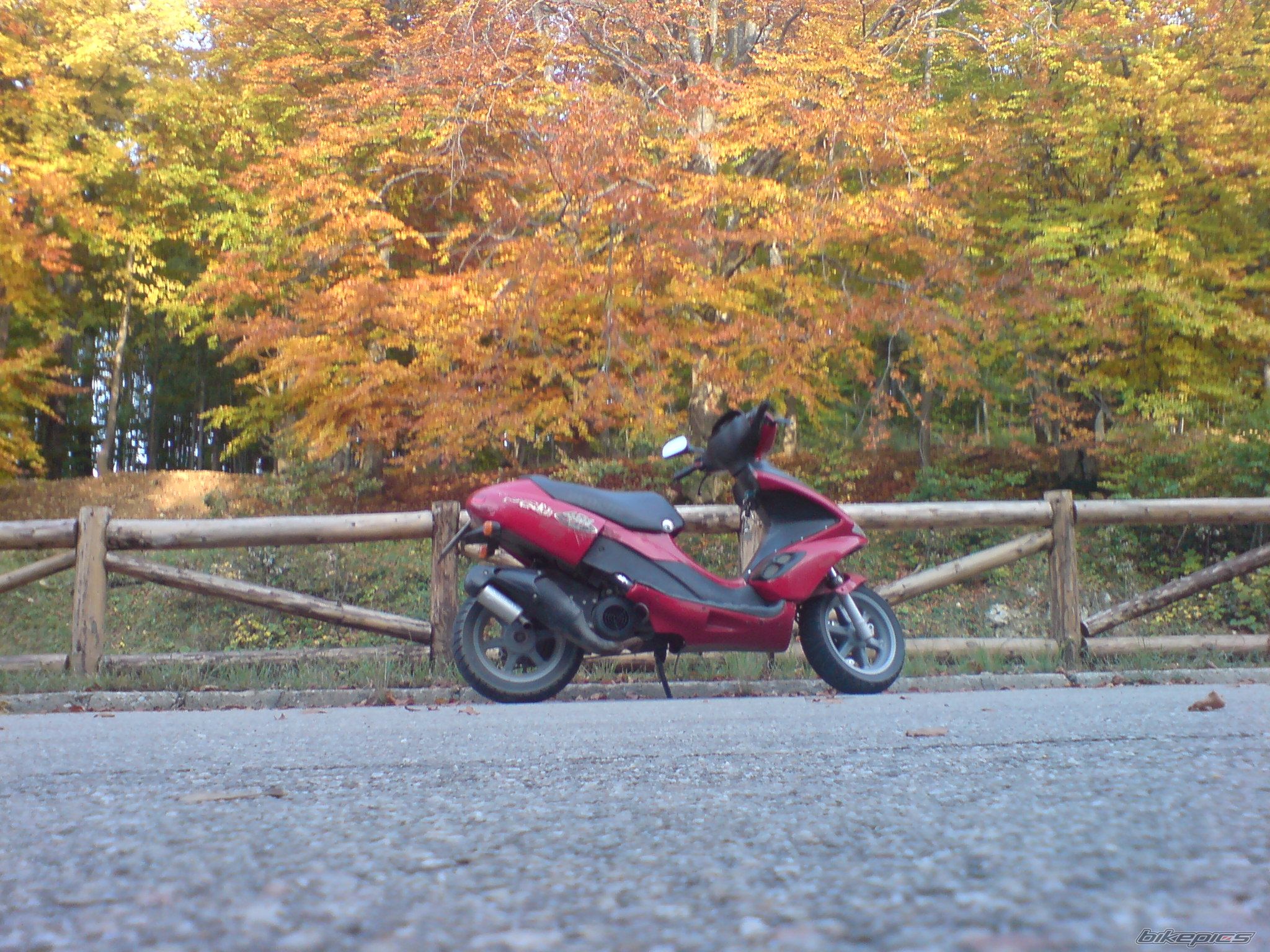 1998 BENELLI 491 | Picture 1548637 motorcycle photo