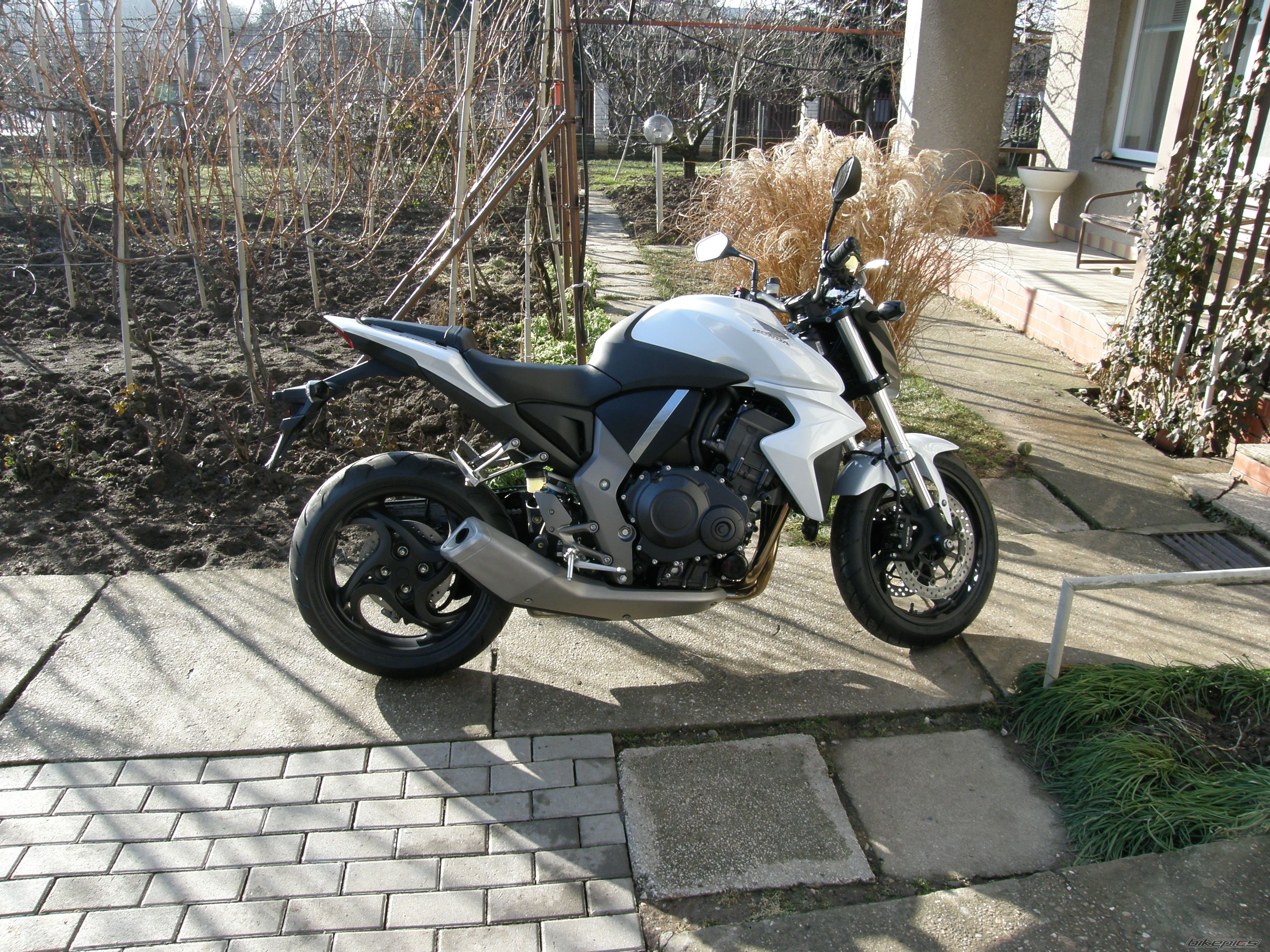2009 HONDA CB 1000 | Picture 1549010 motorcycle photo