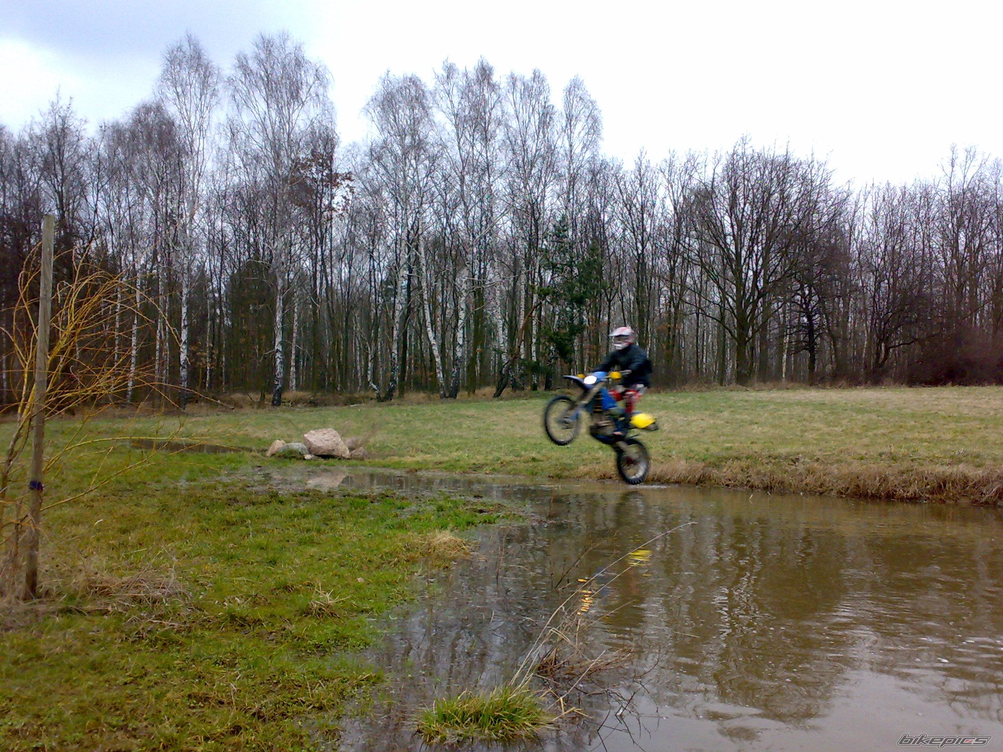 2000 HUSABERG FE 501 | Picture 1549846 motorcycle photo
