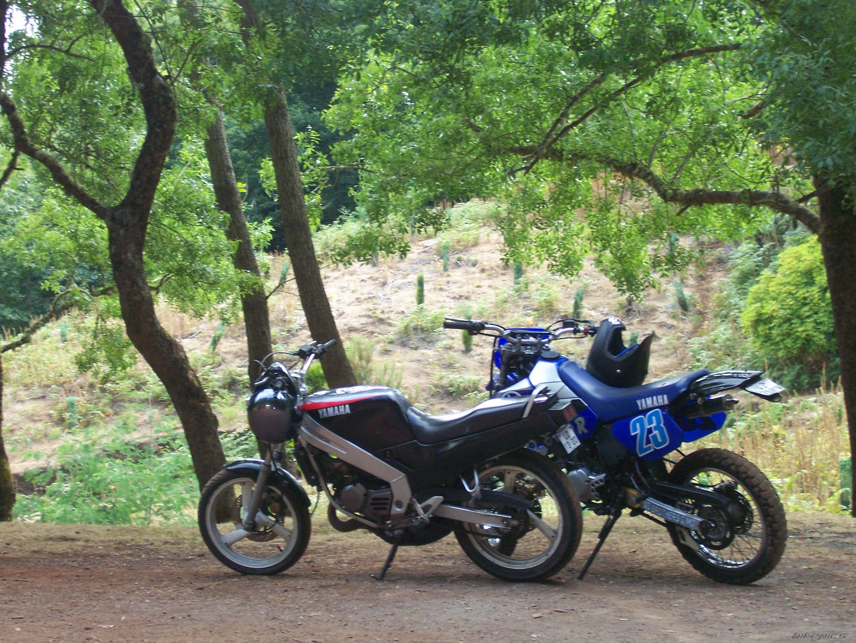 1990 YAMAHA TZR 125 | Picture 1549847 motorcycle photo
