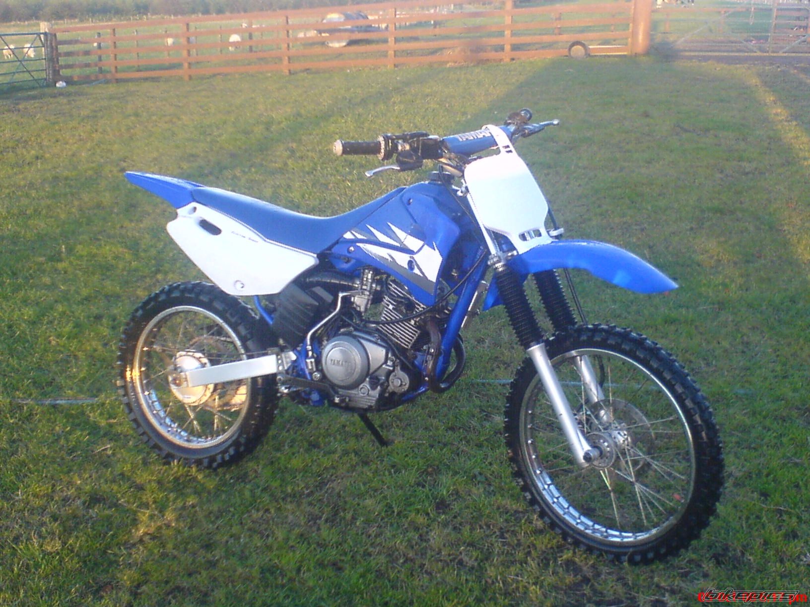 2007 YAMAHA TTR 125 | Picture 1550093 motorcycle photo