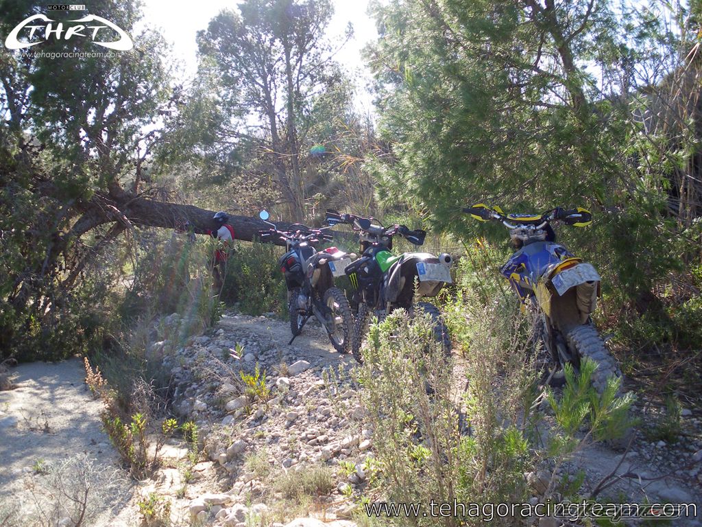2004 YAMAHA WR 450F | Picture 1551034 motorcycle photo