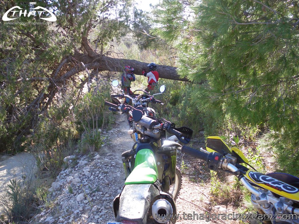 2004 YAMAHA WR 450F | Picture 1551045 motorcycle photo