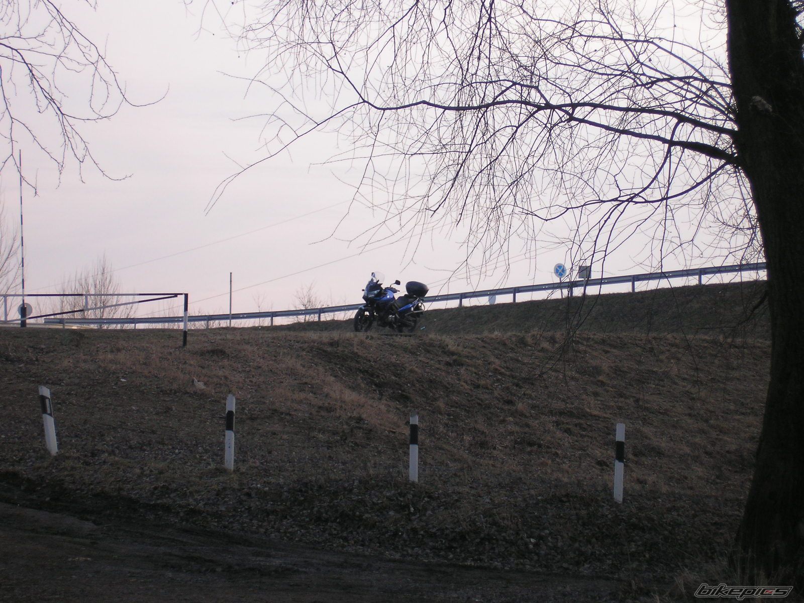 2008 SUZUKI DL 650 | Picture 1551263 motorcycle photo