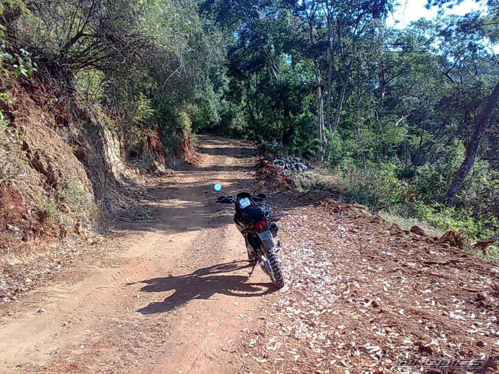 2008 KAWASAKI KLR 650 | Picture 1551369 motorcycle photo