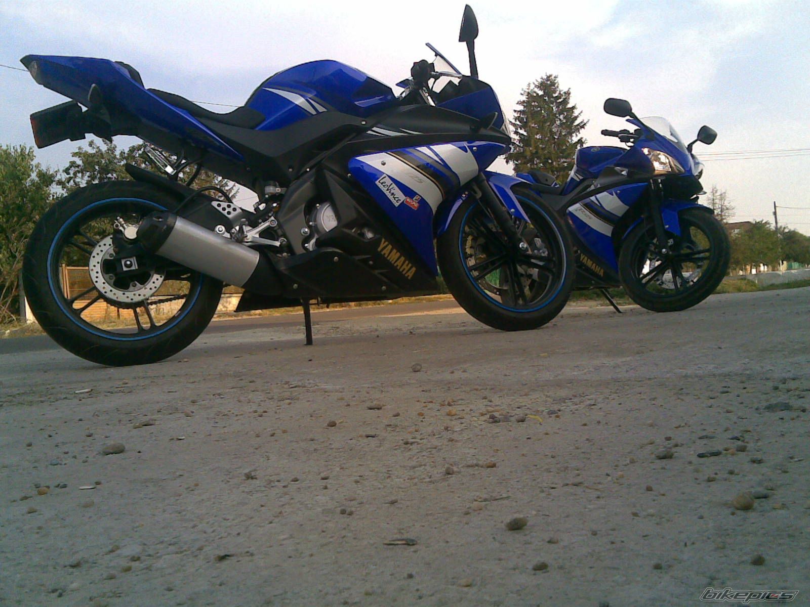 2008 YAMAHA YZF R125 | Picture 1551454 motorcycle photo