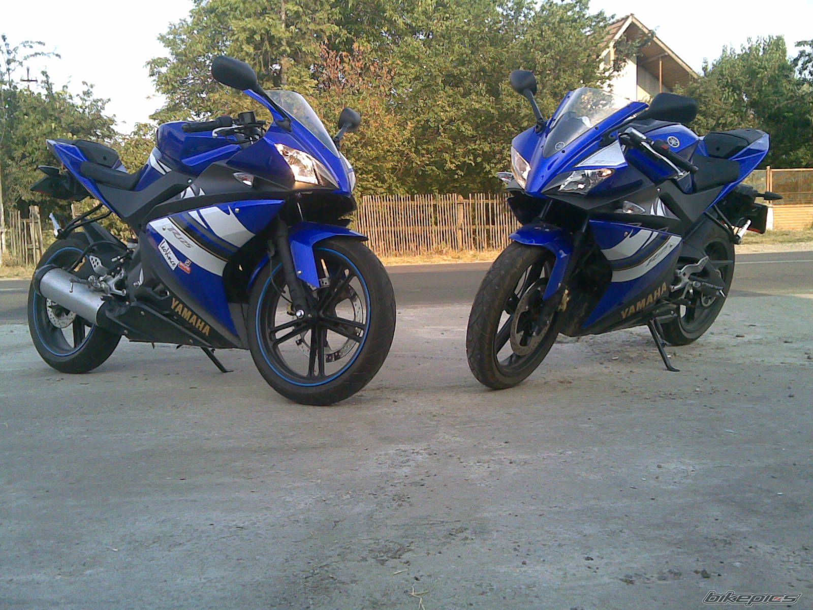 2008 YAMAHA YZF R125 | Picture 1551456 motorcycle photo