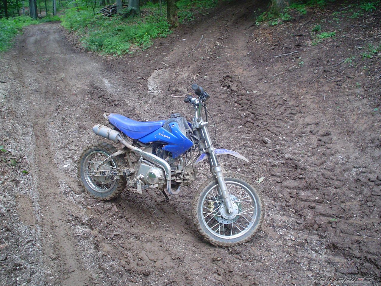 2006 LONCIN LX 110 | Picture 1552223 motorcycle photo