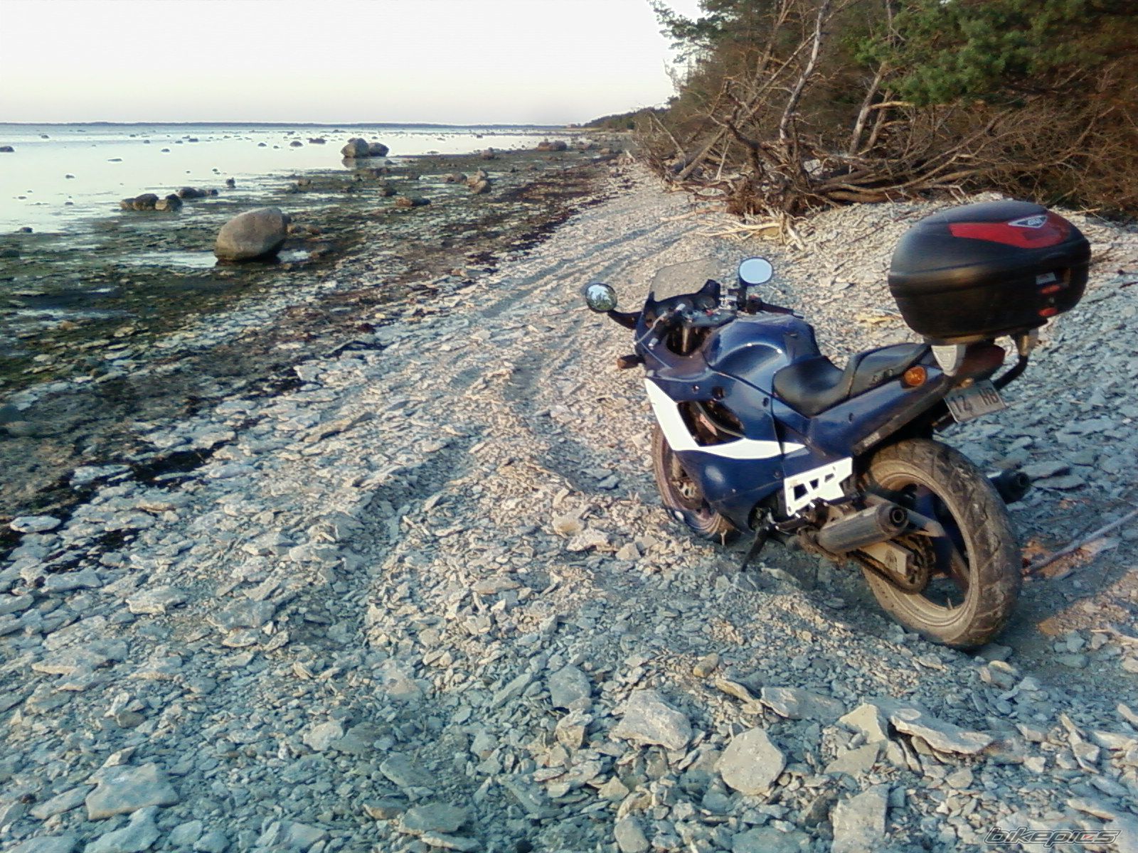 1993 SUZUKI GSX 600 | Picture 1552509 motorcycle photo
