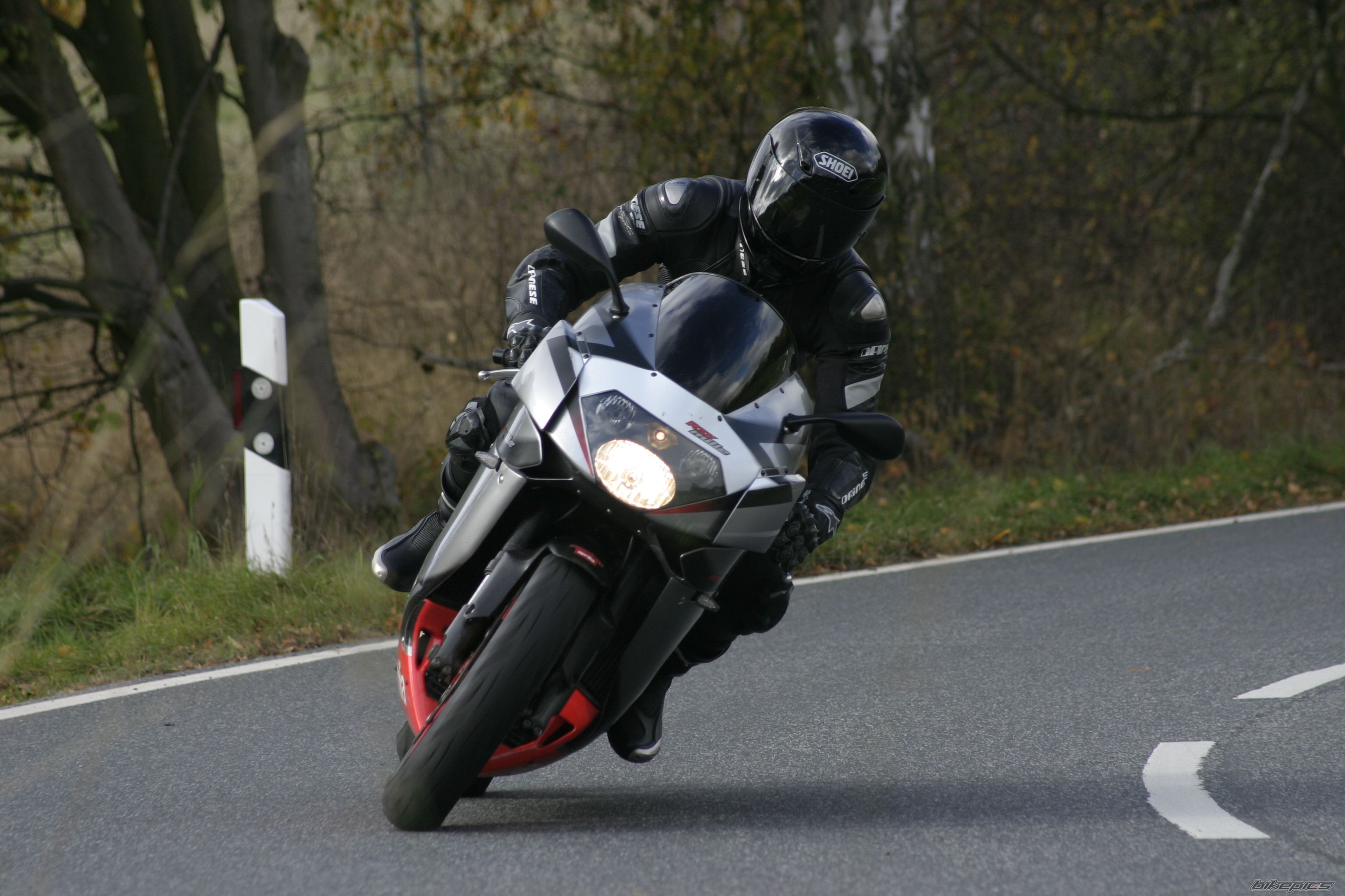 2003 APRILIA RSV 1000 MILLE | Picture 1552664 motorcycle photo