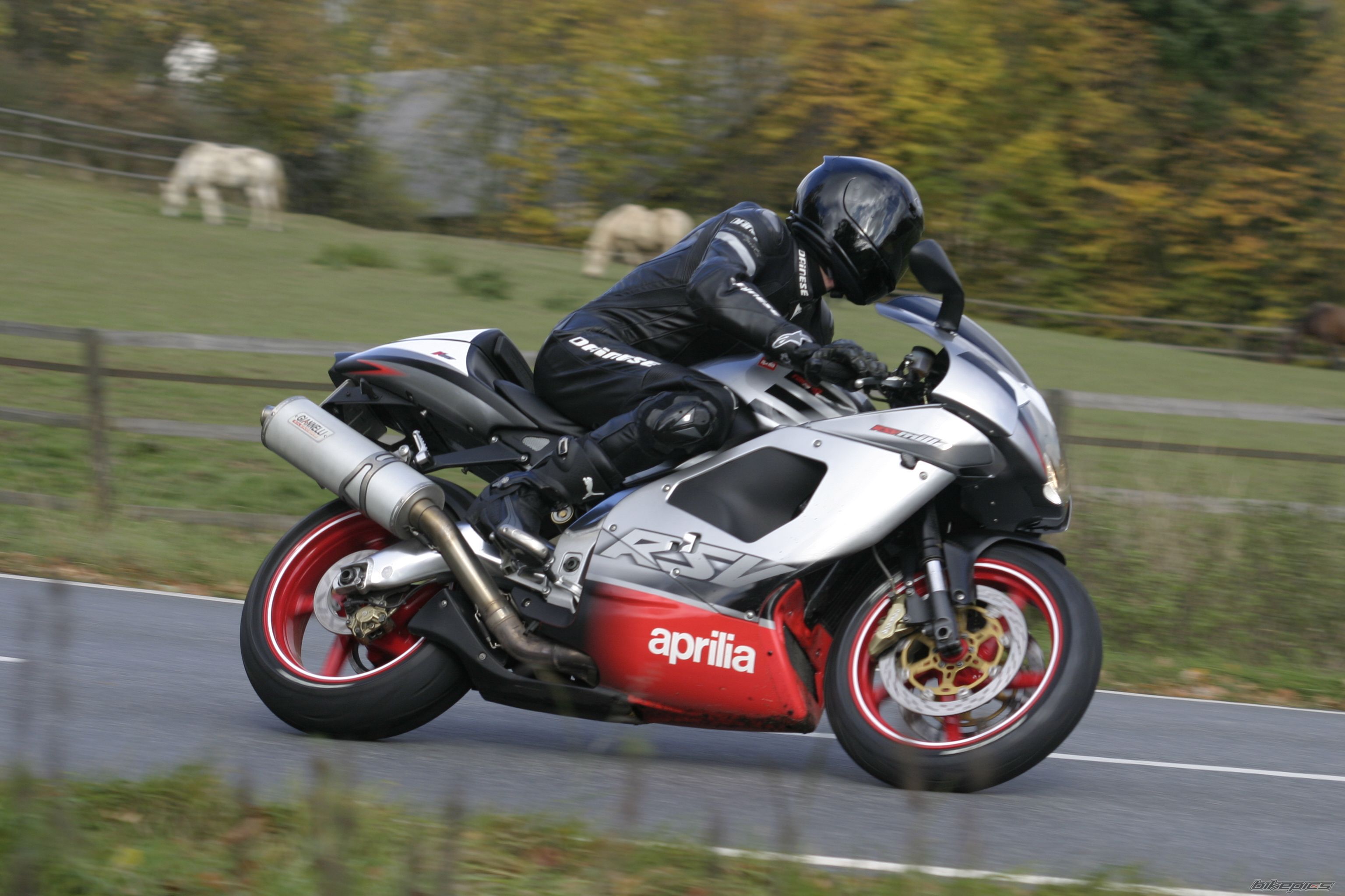 2003 APRILIA RSV 1000 MILLE | Picture 1552666 motorcycle photo