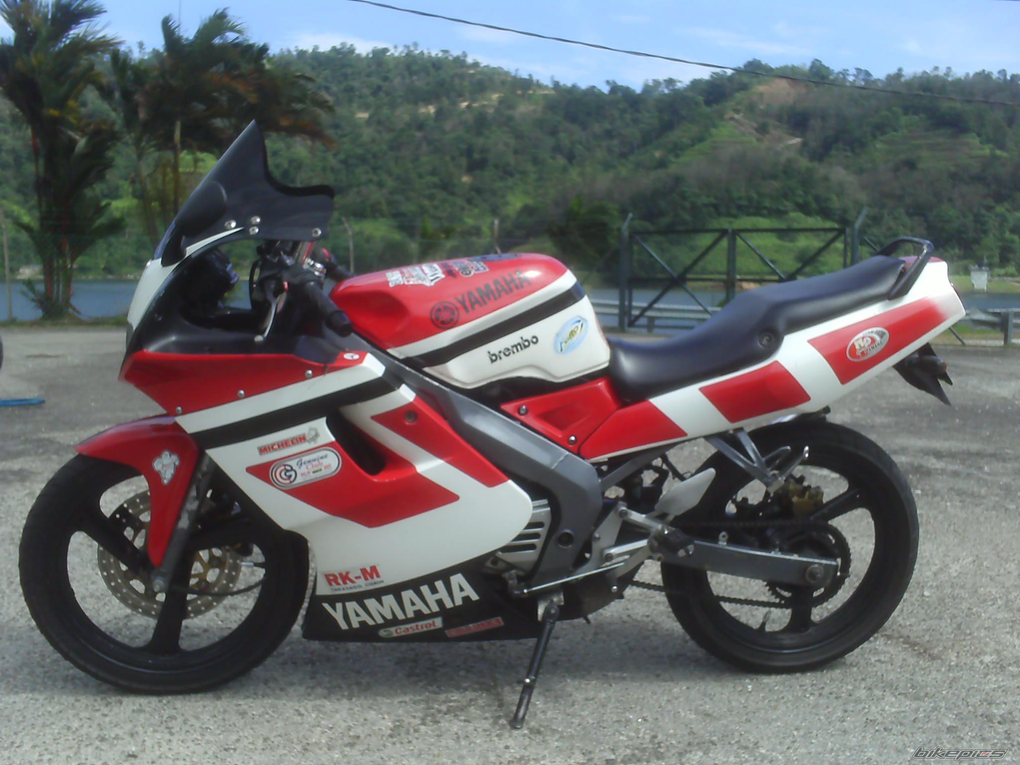 2009 YAMAHA TZM 150 | Picture 1553333 motorcycle photo