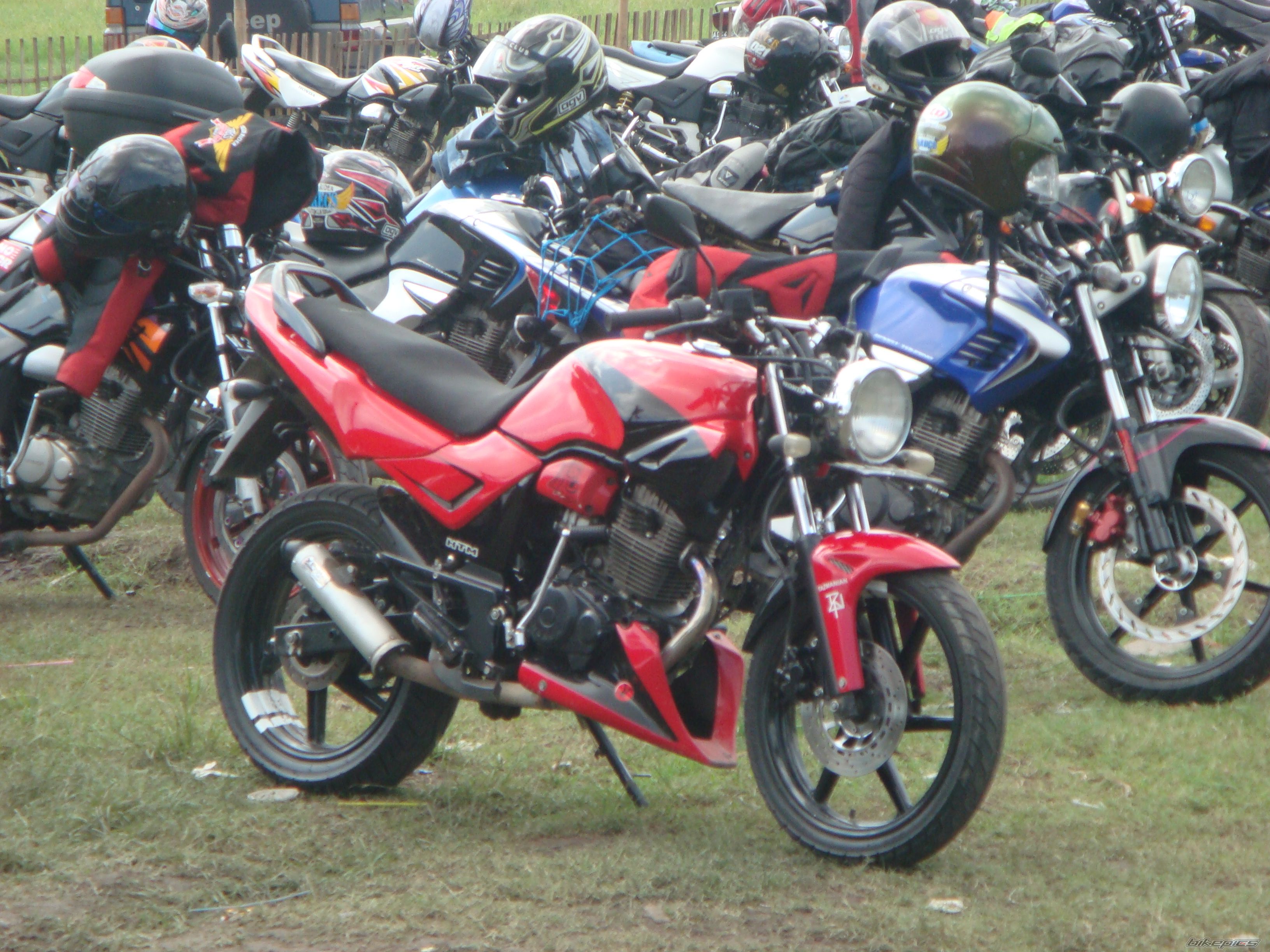 1995 HONDA TIGER | Picture 1553924 motorcycle photo