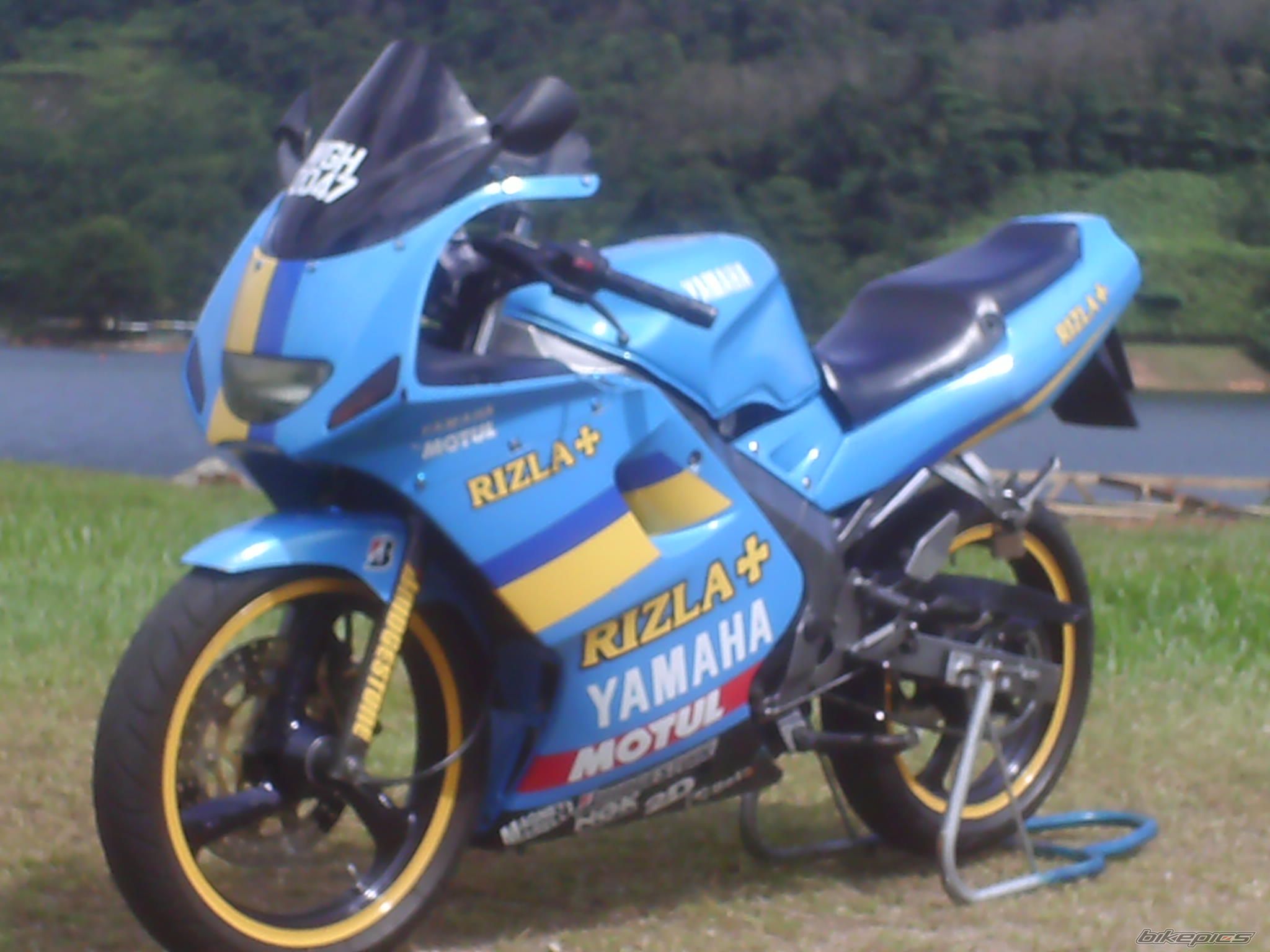 2009 YAMAHA TZM 150 | Picture 1554035 motorcycle photo