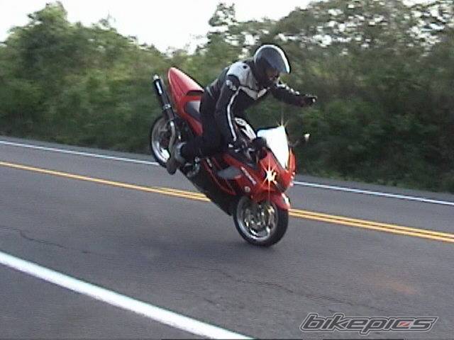 2002 HONDA CBR 600 | Picture 155417 motorcycle photo
