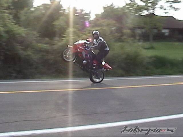 2002 HONDA CBR 600 | Picture 155419 motorcycle photo