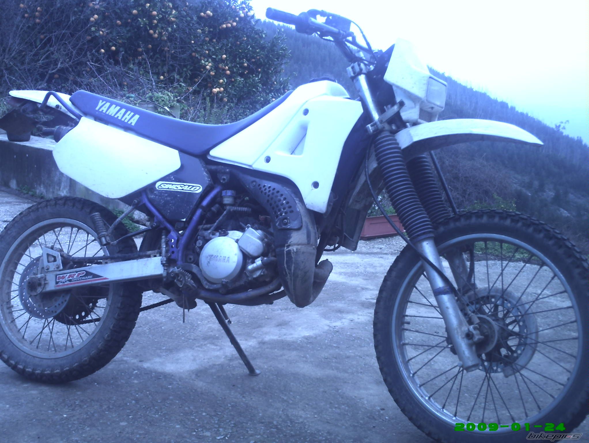 1995 YAMAHA DT 125 | Picture 1554592 motorcycle photo