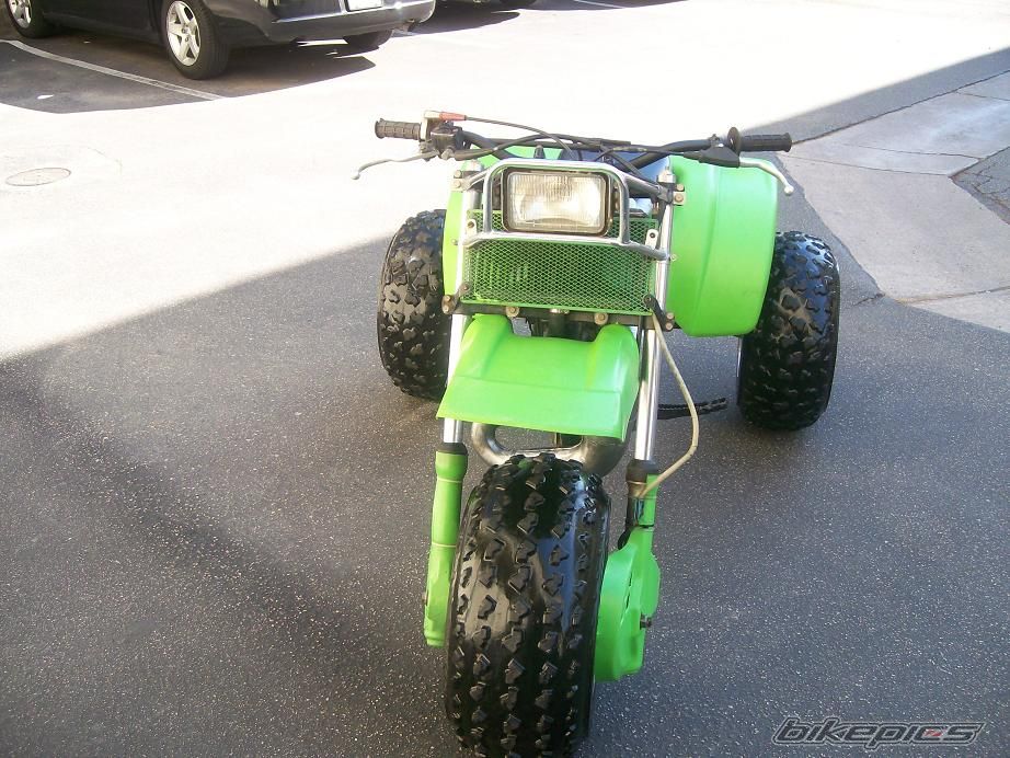 1984 KAWASAKI TECATE 3 | Picture 1554771 motorcycle photo