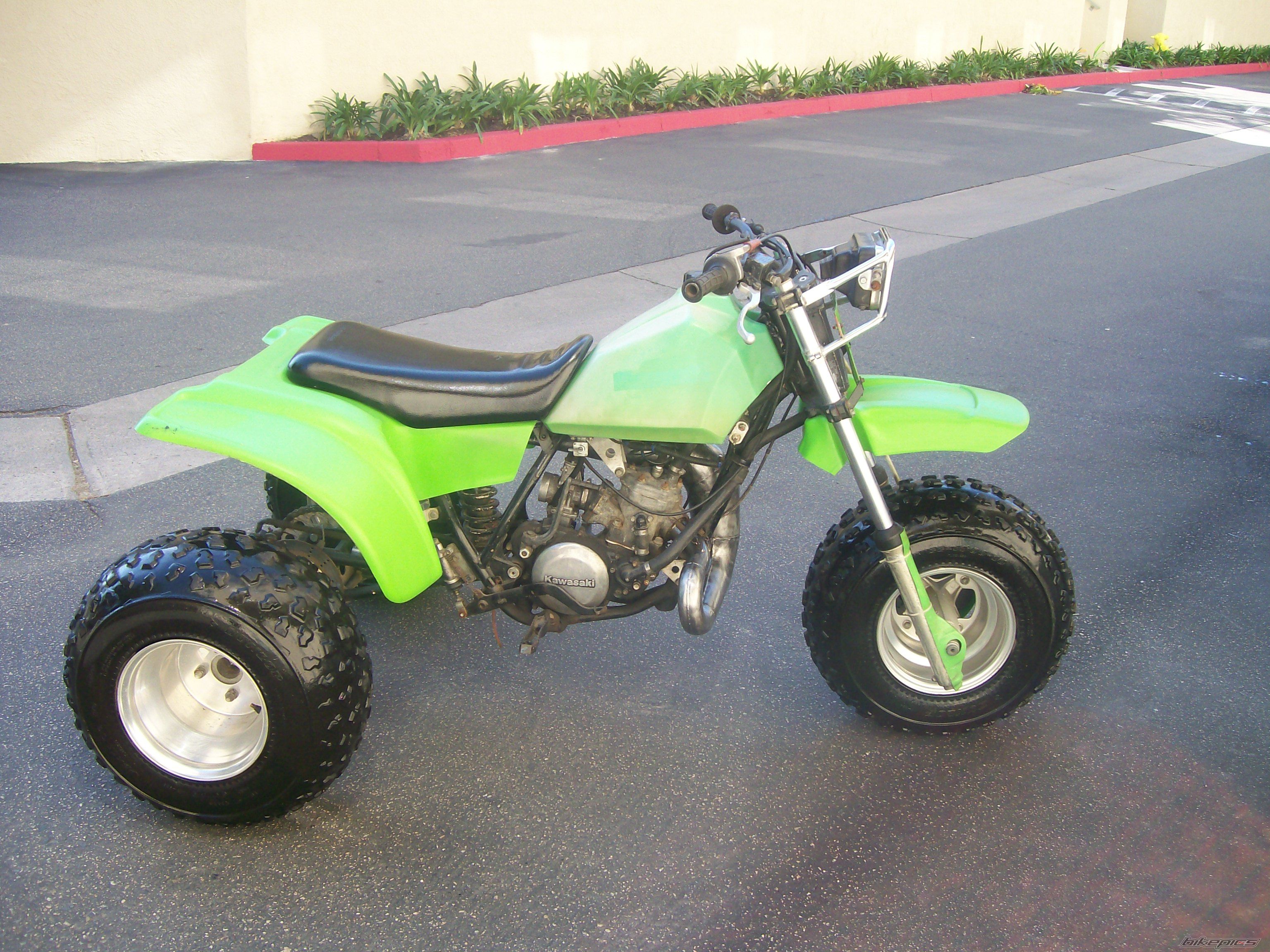 1984 KAWASAKI TECATE 3 | Picture 1554786 motorcycle photo
