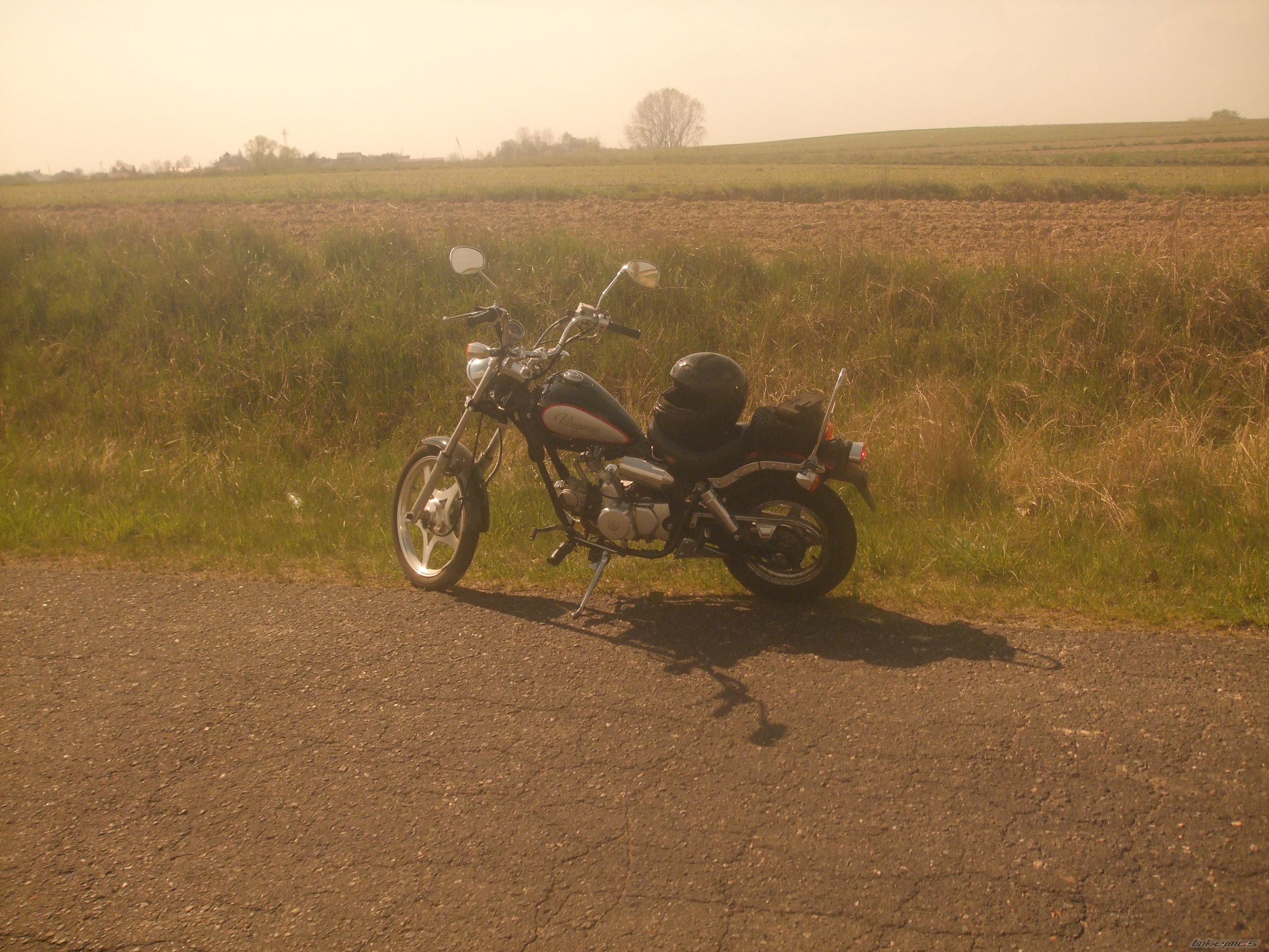 2008 JINCHENG JC 50 Q 8 KNIGHT | Picture 1554851 motorcycle photo