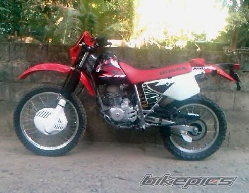 2008 HONDA XR 200 | Picture 1554898 motorcycle photo