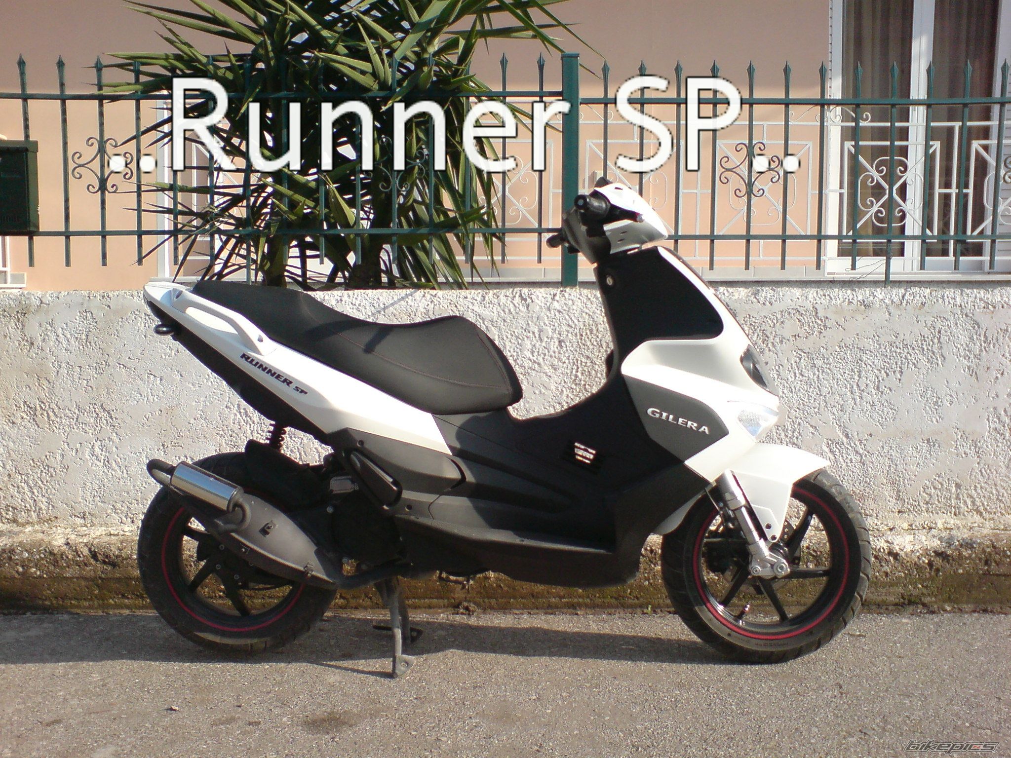 2008 GILERA RUNNER 50 | Picture 1555123 motorcycle photo