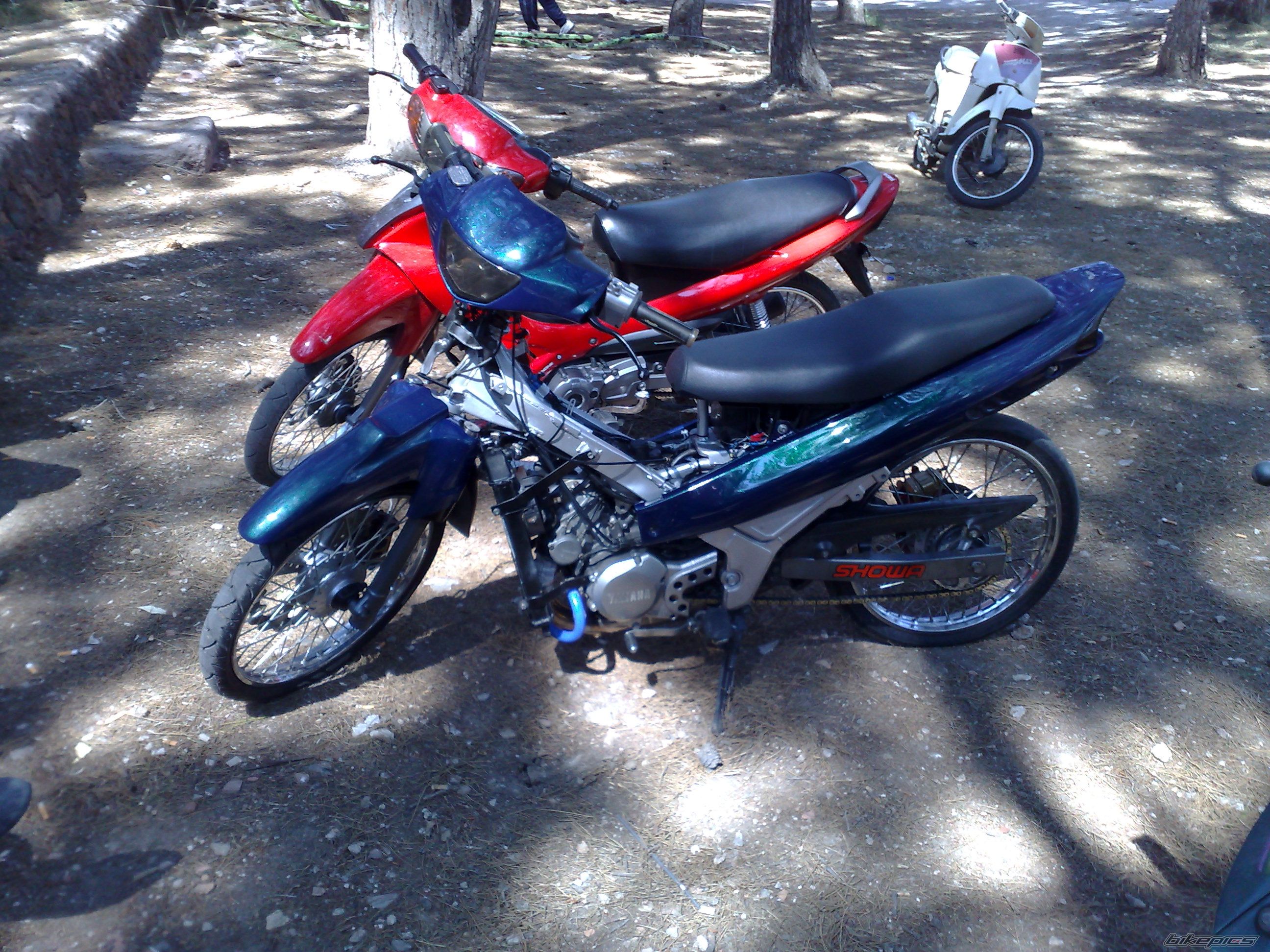 2009 YAMAHA Z 125 | Picture 1555345 motorcycle photo