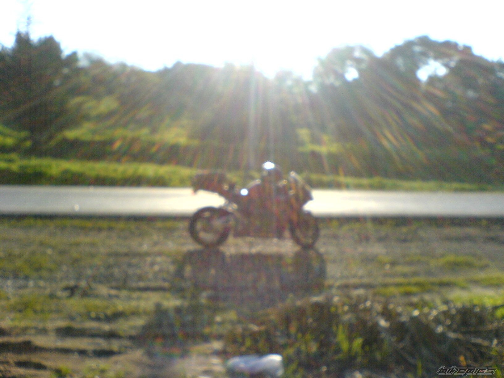 2006 HONDA CBR 1000  RR | Picture 1555608 motorcycle photo