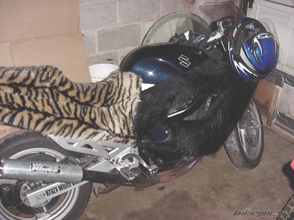 1989 SUZUKI GSX 750F | Picture 155584 motorcycle photo