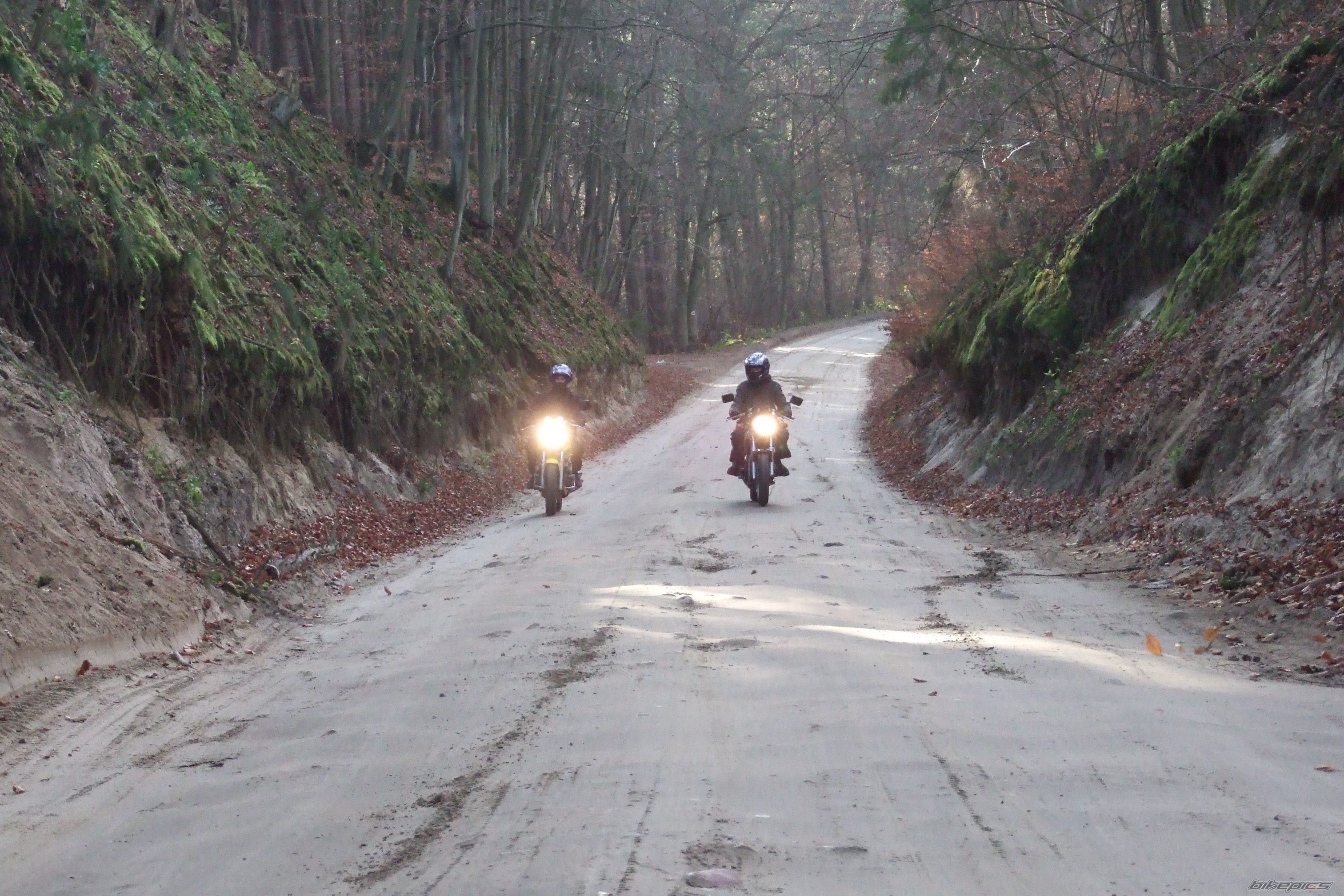 1993 SUZUKI GS 500 | Picture 1555843 motorcycle photo