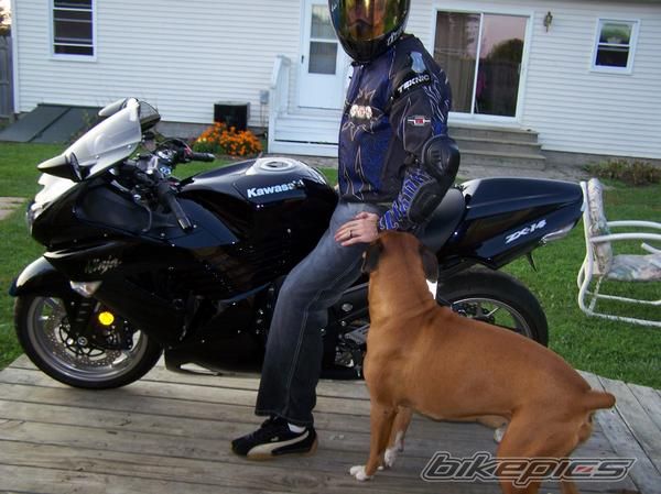 2008 KAWASAKI ZZR 1400 | Picture 1555931 motorcycle photo
