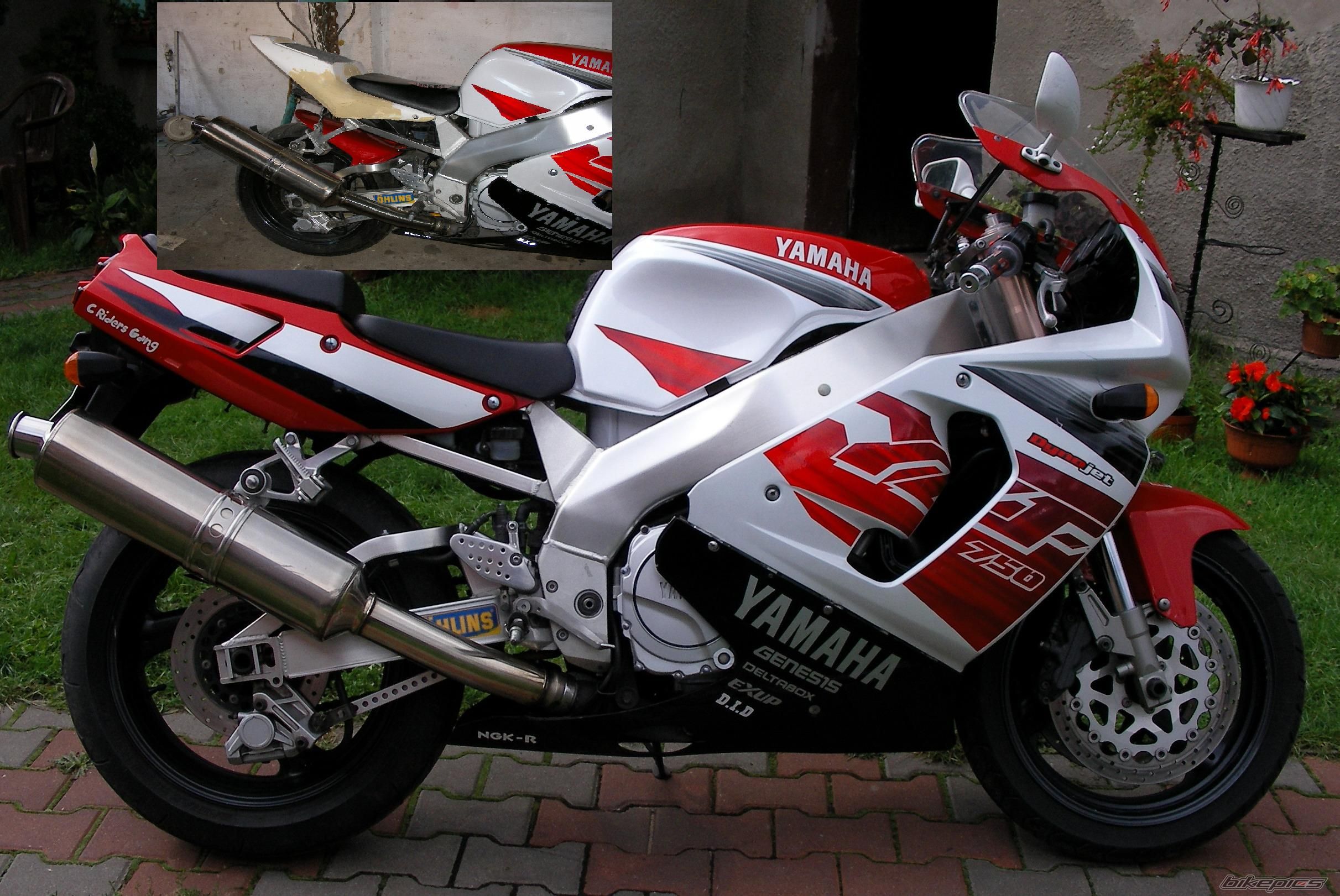    | Picture 1556299 motorcycle photo